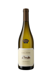 Collavini Benedete Ribolla Gialla Venezia Giulia 75Cl PROMO