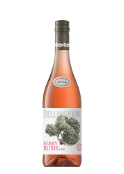 Bellingham Berry Bush Rose 75Cl Promo